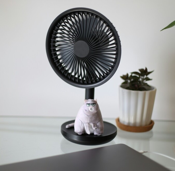 best desktop fan 2026